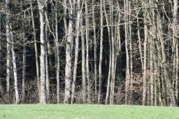 Dateiname=IMGP0783.jpg
Dateigröße=764KB
Abmessungen: 1600x1066
hinzugefügt am: 02. April 2016 IMGP0783.jpg