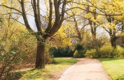 Dateiname=IMGP0954.jpg
Dateigröße=1259KB
Abmessungen: 2000x1298
hinzugefügt am: 20. Mai 2022 IMGP0954.jpg