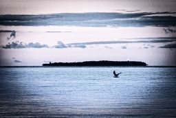 Dateiname=IMGP0967.jpg
Dateigröße=642KB
Abmessungen: 1456x981
hinzugefügt am: 03. März 2024 IMGP0967.jpg