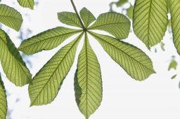 Dateiname=IMGP0992~0.jpg
Dateigröße=356KB
Abmessungen: 1600x1066
hinzugefügt am: 24. April 2016 IMGP0992~0.jpg