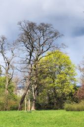 Dateiname=IMGP1003.jpg
Dateigröße=426KB
Abmessungen: 1065x1600
hinzugefügt am: 24. April 2016 IMGP1003.jpg