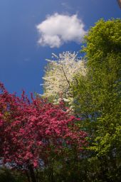 Dateiname=IMGP1092.jpg
Dateigröße=336KB
Abmessungen: 799x1200
hinzugefügt am: 05. Mai 2016 IMGP1092.jpg