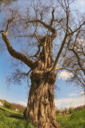 Dateiname=IMGP1134.jpg
Dateigröße=402KB
Abmessungen: 799x1200
hinzugefügt am: 05. Mai 2016 IMGP1134.jpg