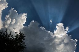 Dateiname=IMGP1341.jpg
Dateigröße=191KB
Abmessungen: 1600x1066
hinzugefügt am: 05. Juni 2016 IMGP1341.jpg