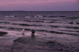 Dateiname=IMGP2587.jpg
Dateigröße=162KB
Abmessungen: 1200x799
hinzugefügt am: 25. November 2016 IMGP2587.jpg