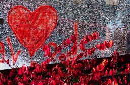 Dateiname=IMGP3135.jpg
Dateigröße=704KB
Abmessungen: 1600x1062
hinzugefügt am: 21. Januar 2017 IMGP3135.jpg