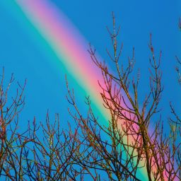 Dateiname=IMGP3254.jpg
Dateigröße=893KB
Abmessungen: 1200x1200
hinzugefügt am: 29. April 2017 IMGP3254.jpg