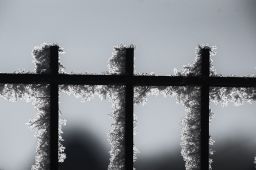 Dateiname=IMGP3342.jpg
Dateigröße=249KB
Abmessungen: 1600x1065
hinzugefügt am: 19. Januar 2017 IMGP3342.jpg