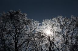 Dateiname=IMGP3435~0.jpg
Dateigröße=498KB
Abmessungen: 1600x1066
hinzugefügt am: 19. Januar 2017 IMGP3435~0.jpg