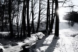 Dateiname=IMGP3474.jpg
Dateigröße=410KB
Abmessungen: 1600x1065
hinzugefügt am: 21. Januar 2017 IMGP3474.jpg