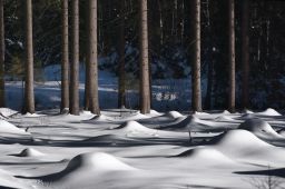 Dateiname=IMGP3675.jpg
Dateigröße=308KB
Abmessungen: 1600x1065
hinzugefügt am: 29. Januar 2017 IMGP3675.jpg