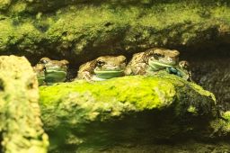 Dateiname=IMGP3869.jpg
Dateigröße=348KB
Abmessungen: 1600x1063
hinzugefügt am: 14. März 2017 IMGP3869.jpg