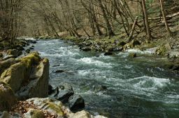 Dateiname=IMGP9057.jpg
Dateigröße=774KB
Abmessungen: 1600x1055
hinzugefügt am: 15. April 2022 IMGP9057.jpg