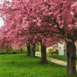 Dateiname=IMGP9060.jpg
Dateigröße=1119KB
Abmessungen: 1600x1600
hinzugefügt am: 15. Mai 2022 IMGP9060.jpg