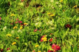 Dateiname=IMGP9063.jpg
Dateigröße=606KB
Abmessungen: 2048x1363
hinzugefügt am: 30. April 2022 IMGP9063.jpg