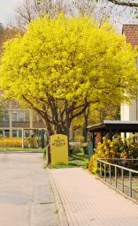 Dateiname=IMGP9088.jpg
Dateigröße=577KB
Abmessungen: 1253x2048
hinzugefügt am: 30. April 2022 IMGP9088.jpg