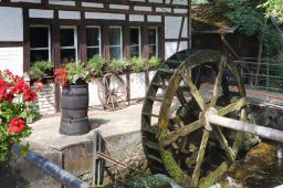 Dateiname=IMGP9412.jpg
Dateigröße=602KB
Abmessungen: 1600x1066
hinzugefügt am: 11. August 2022 IMGP9412.jpg